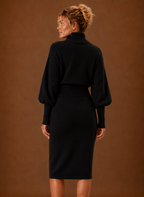 Sweater Dress for Women - Turtleneck Midi Fitted Knit | Areleon