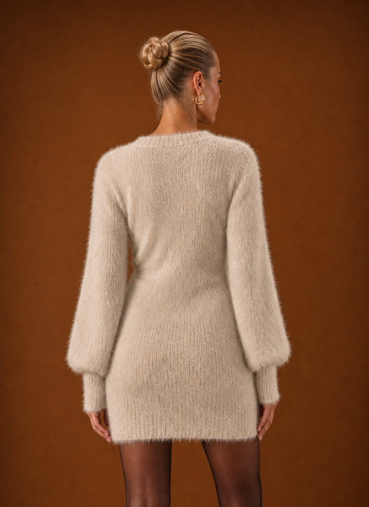 Back view of Areleon sweater dress showing clean silhouette and ribbed hem