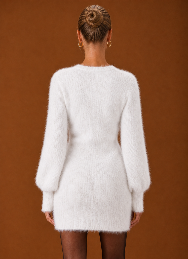 Back view of Areleon sweater dress showing clean silhouette and ribbed hem