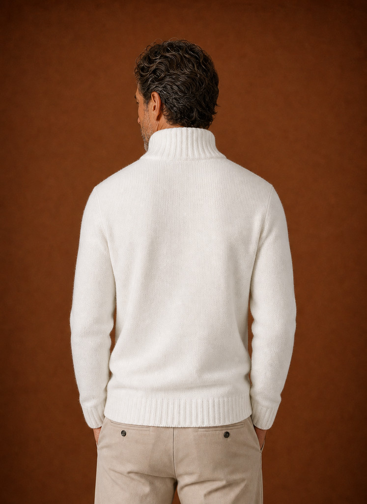 Back view of Areleon men's half-zip knit sweater on a mannequin